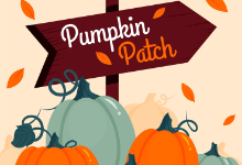 pumpkin patch 